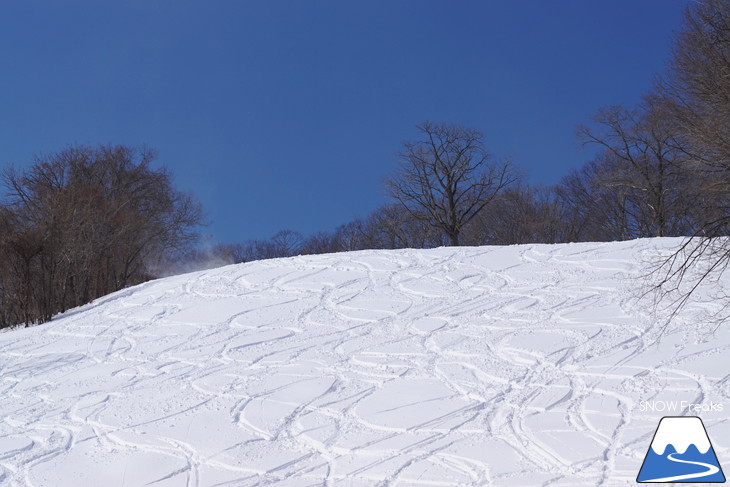 新得町・新得山スキー場 記録的な大雪でスキー場開設以来、最大積雪に到達?!